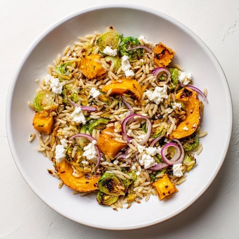 Vibrant Best Fall Harvest Orzo Salad with roasted butternut squash and creamy goat cheese, ready to eat.
